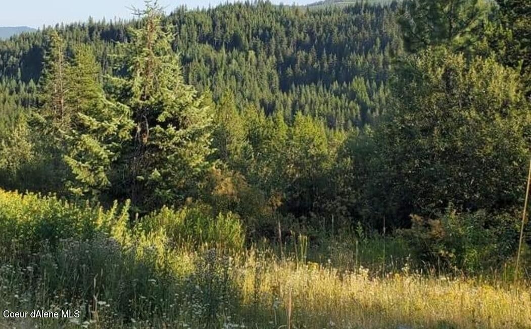 Fernwood, Benewah County, ID Farms and Ranches for sale Property ID