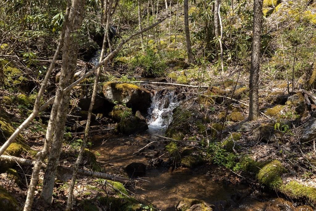 Franklin, Macon County, NC Undeveloped Land for sale Property ID