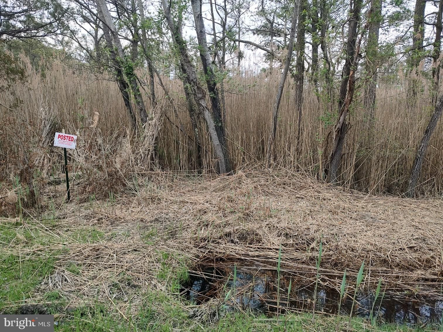Vienna, Dorchester County, MD Farms and Ranches, Homesites for sale
