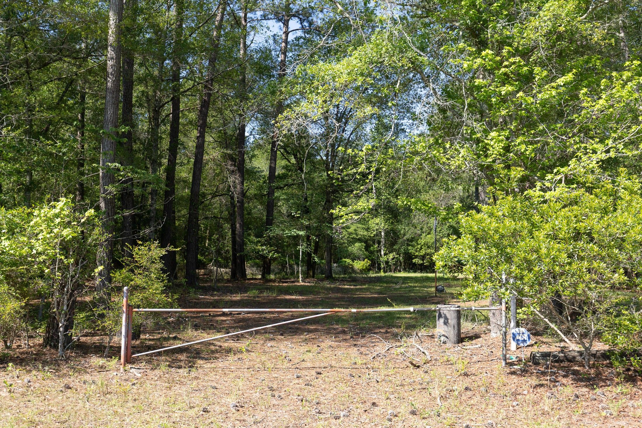 Cope, Orangeburg County, SC Lakefront Property, Waterfront Property