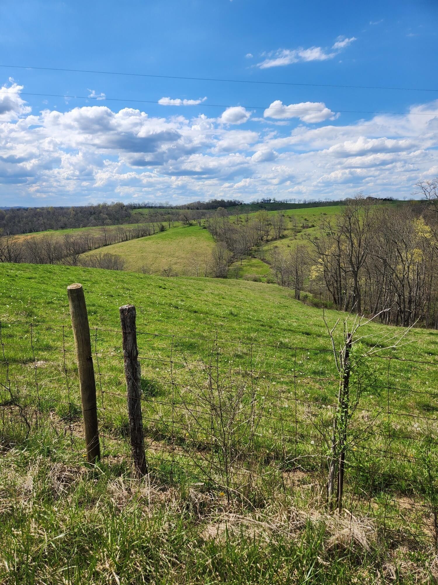 Falmouth, Bracken County, KY Farms and Ranches, Homesites for sale Property ID 416123384