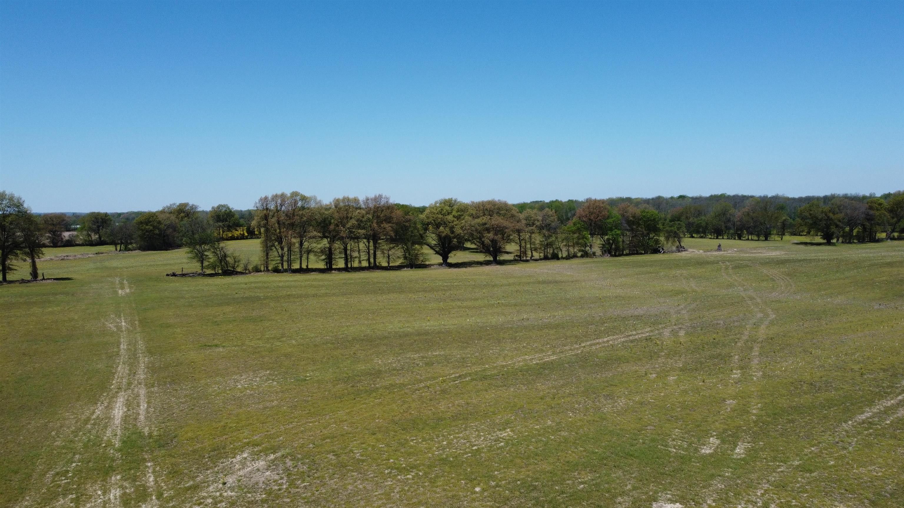 Union City, Obion County, TN Farms and Ranches for sale Property ID