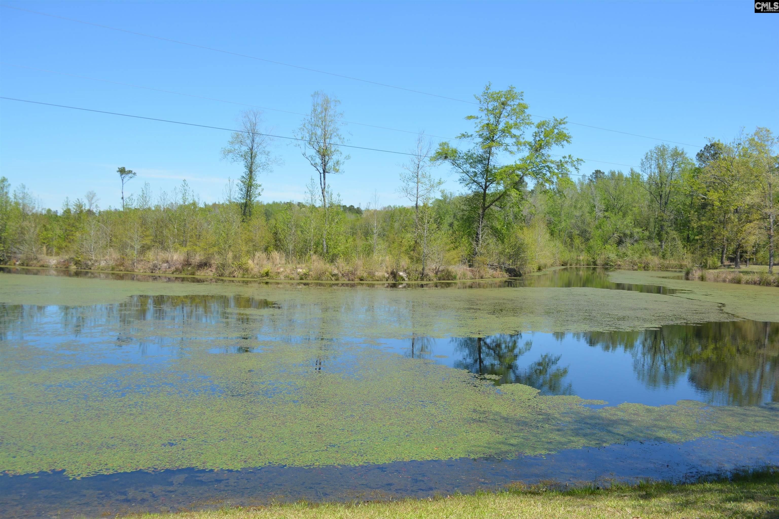 Batesburg, Lexington County, SC Lakefront Property, Waterfront Property