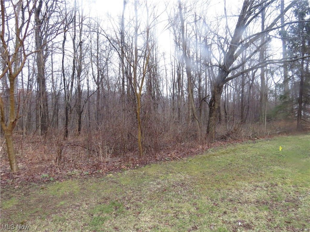 Geneva, Ashtabula County, OH Farms and Ranches, Homesites for sale