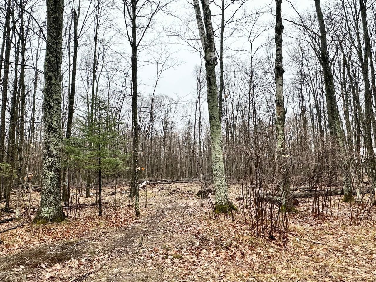 Pickerel, Forest County, WI Farms and Ranches, Homesites for sale