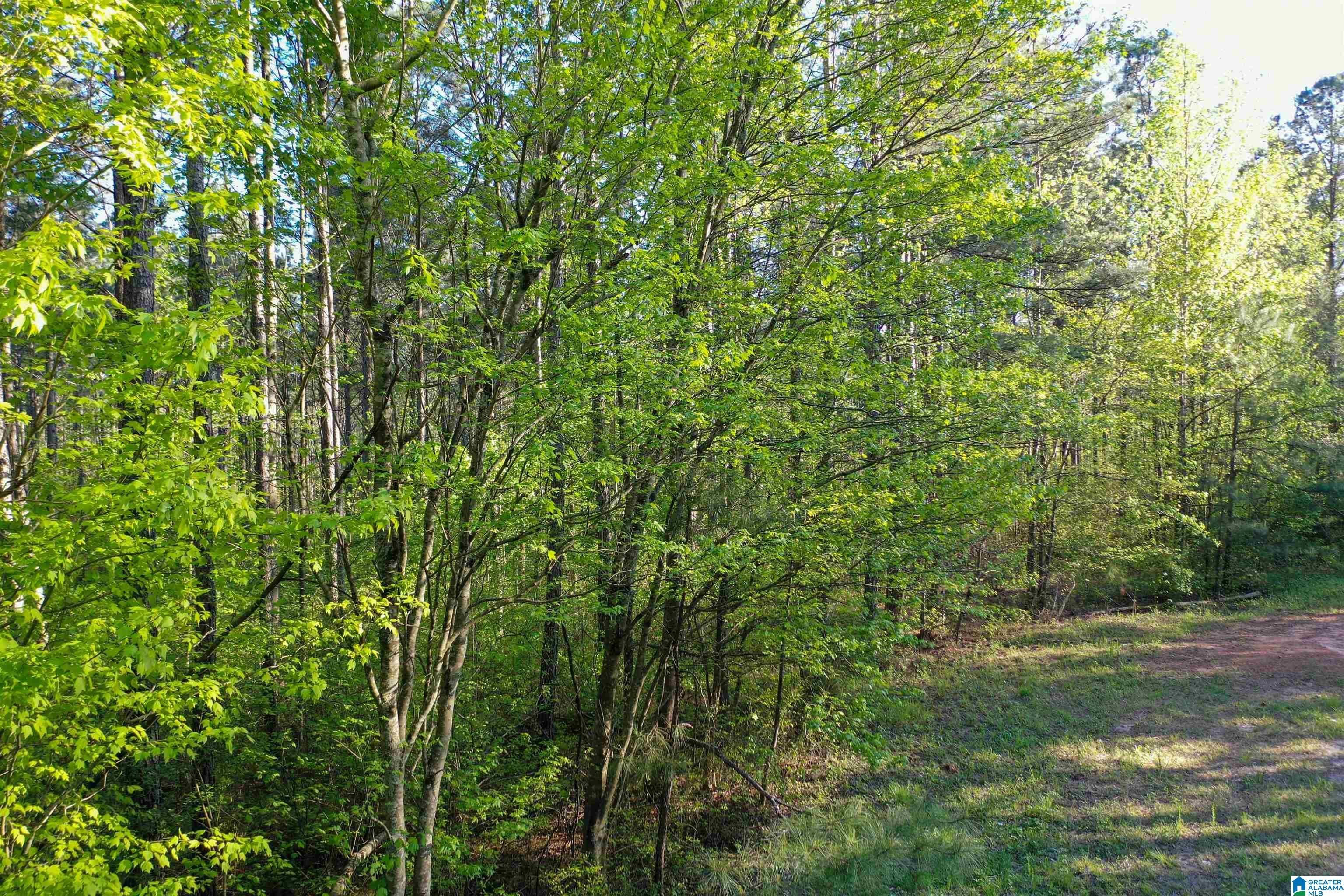 Ranburne, Cleburne County, AL Farms and Ranches for sale Property ID