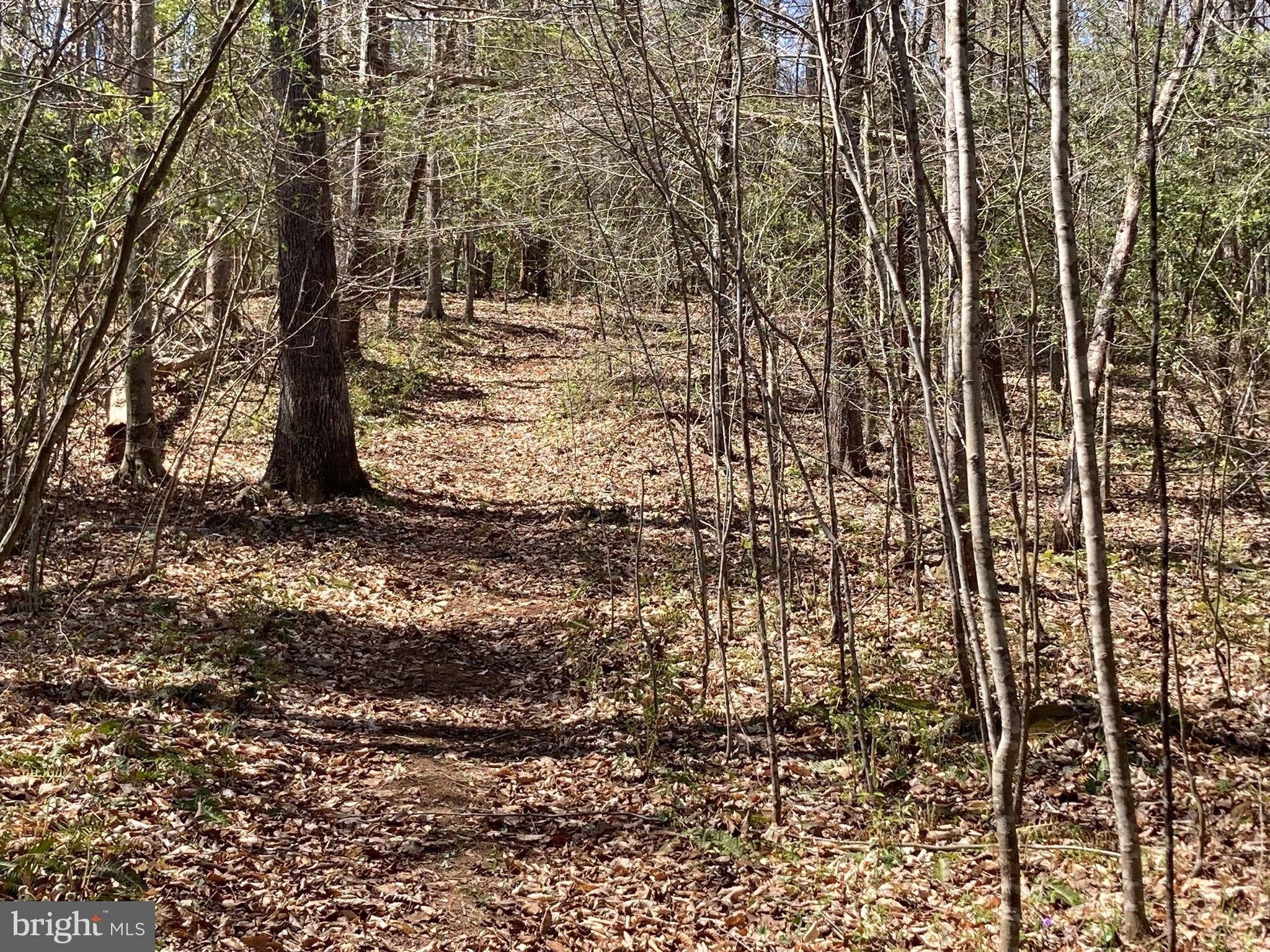 Locust Grove, Orange County, VA Undeveloped Land, Lakefront Property