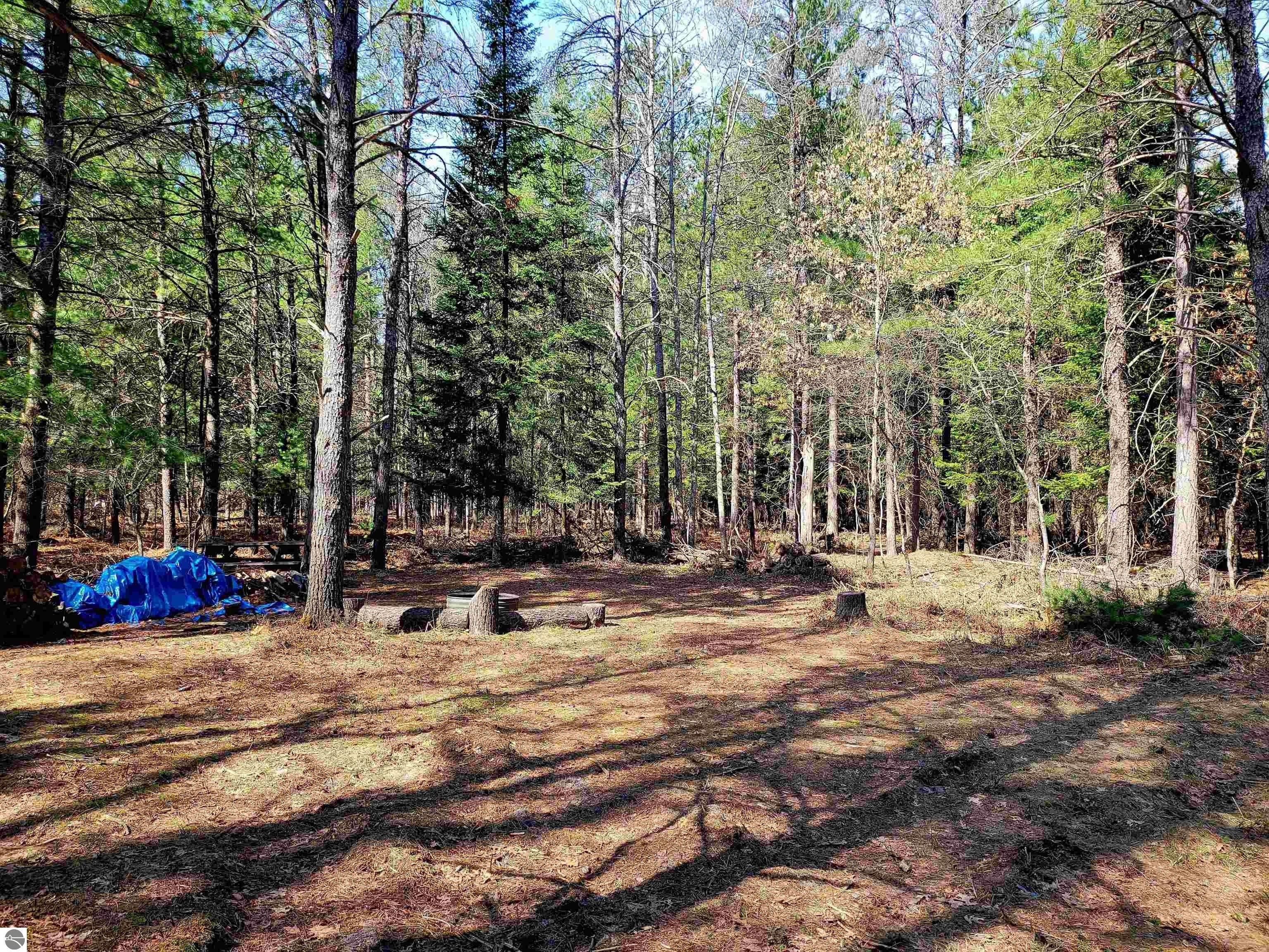 Grayling, Crawford County, MI Farms and Ranches, Lakefront Property