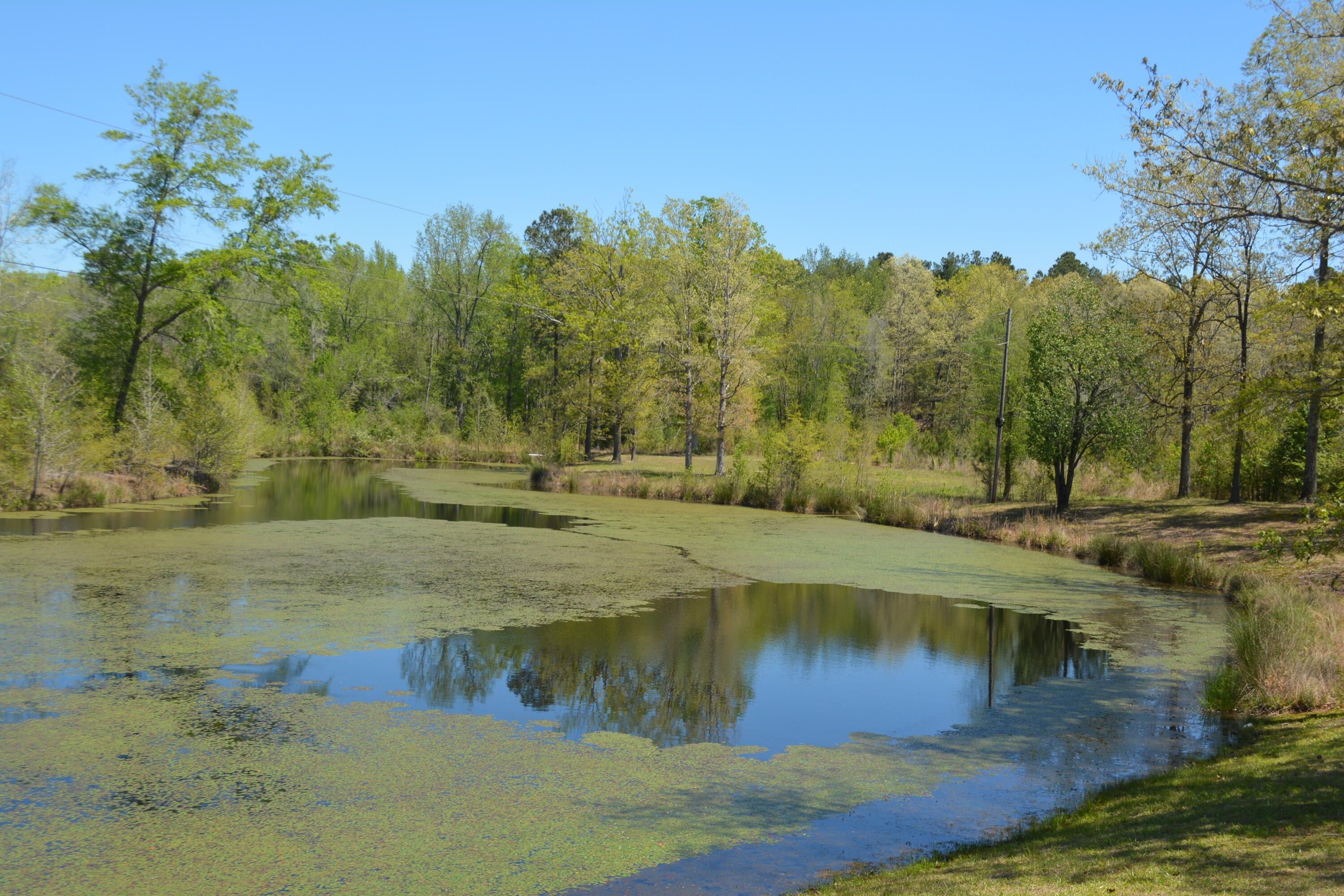 BatesburgLeesville, Lexington County, SC House for sale Property ID