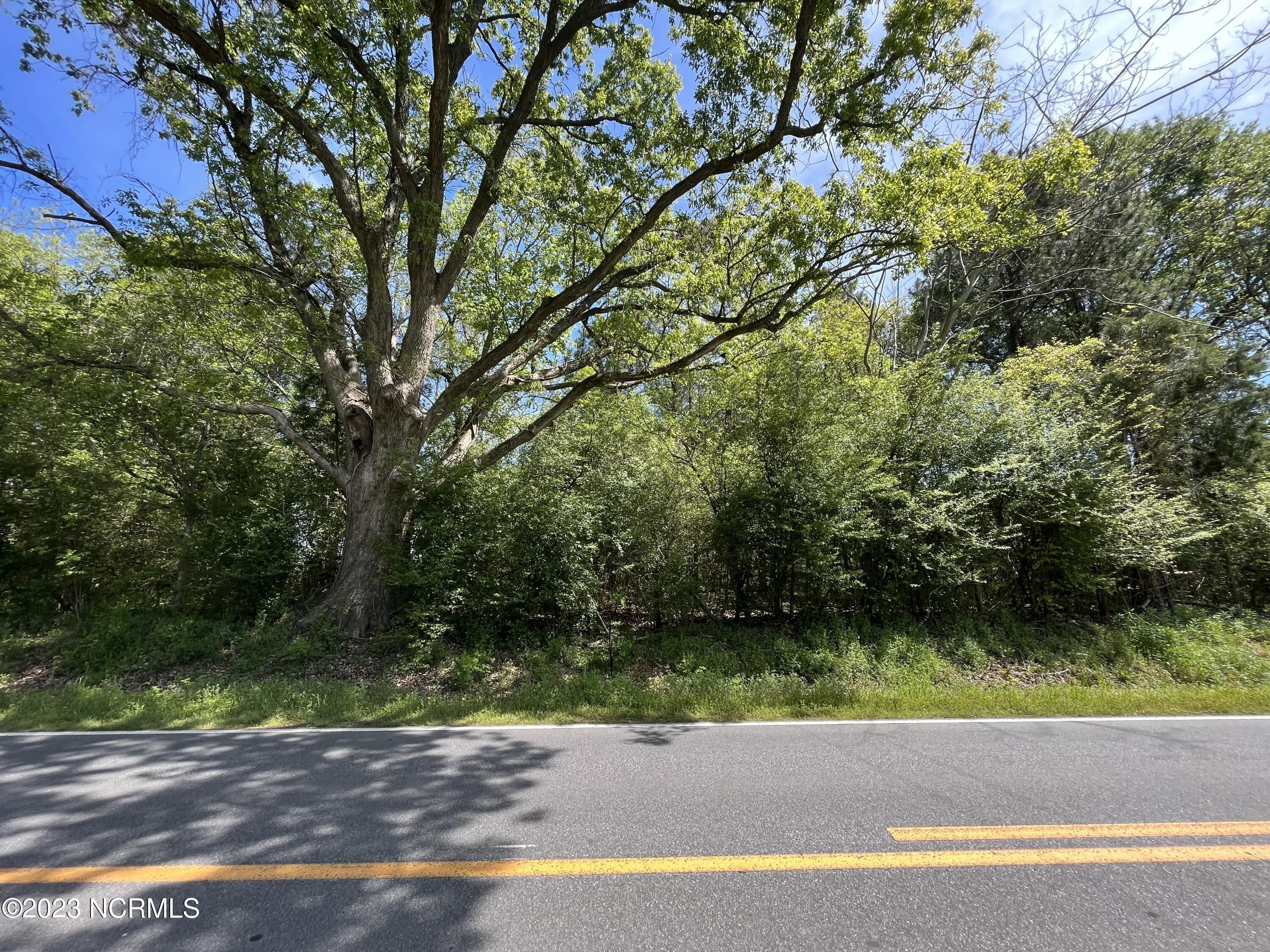 Greenville, Pitt County, NC Undeveloped Land for sale Property ID