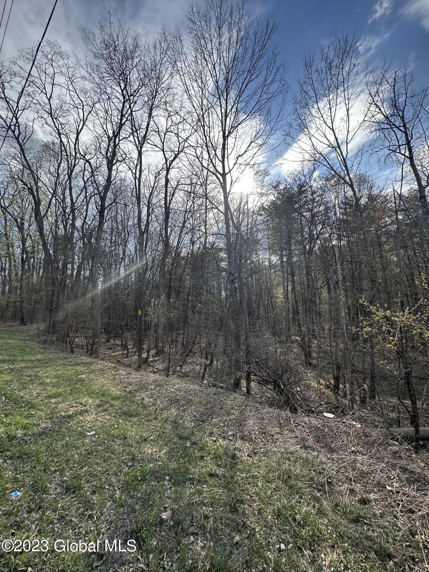 Middleburgh, Schoharie County, NY Undeveloped Land for sale Property ID