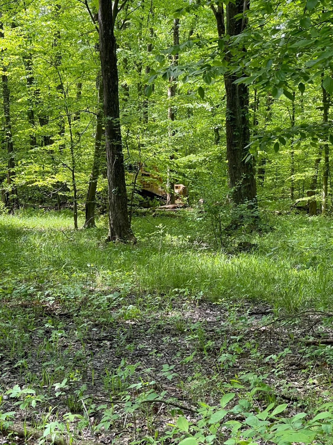 Cozaddale, Clermont County, OH Farms and Ranches for sale Property ID