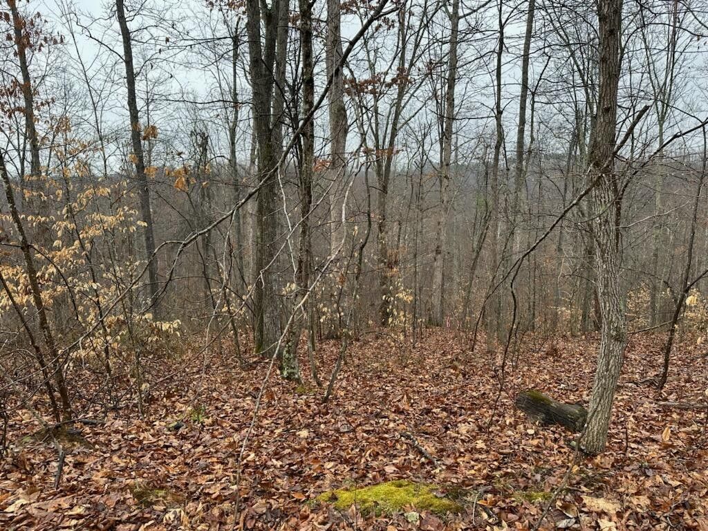 Hitchins, Carter County, KY Farms and Ranches for sale Property ID