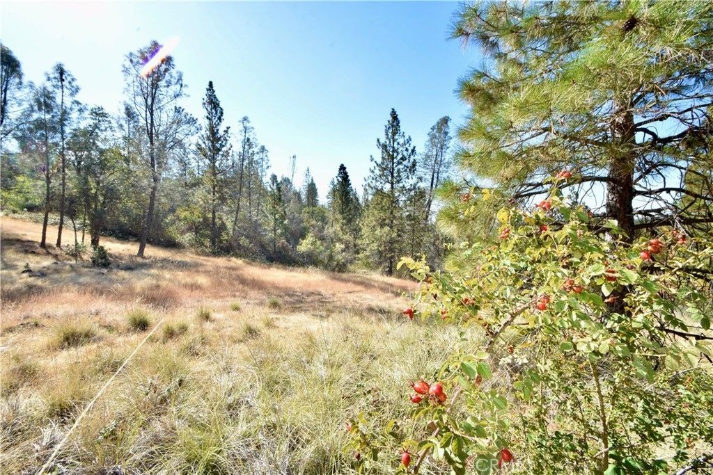 Oroville, Yuba County, CA Farms and Ranches for sale Property ID