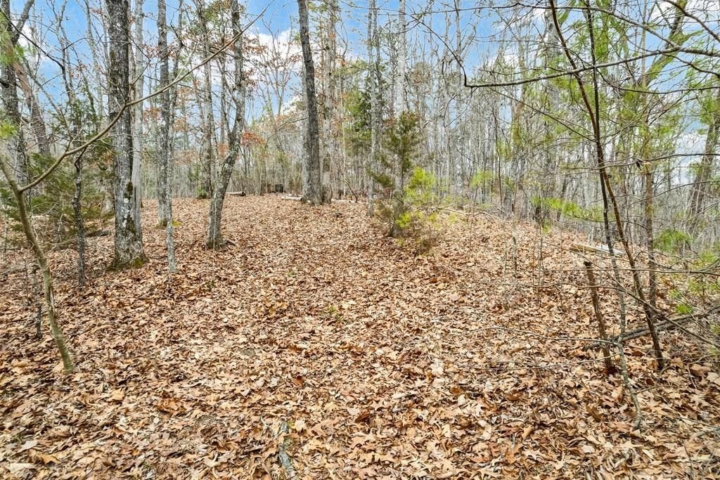 Sevierville, Sevier County, TN Undeveloped Land for sale Property ID