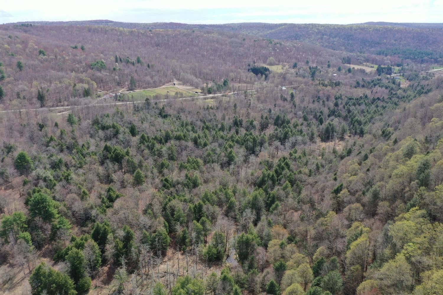 Erin, Chemung County, NY Farms and Ranches, Lakefront Property