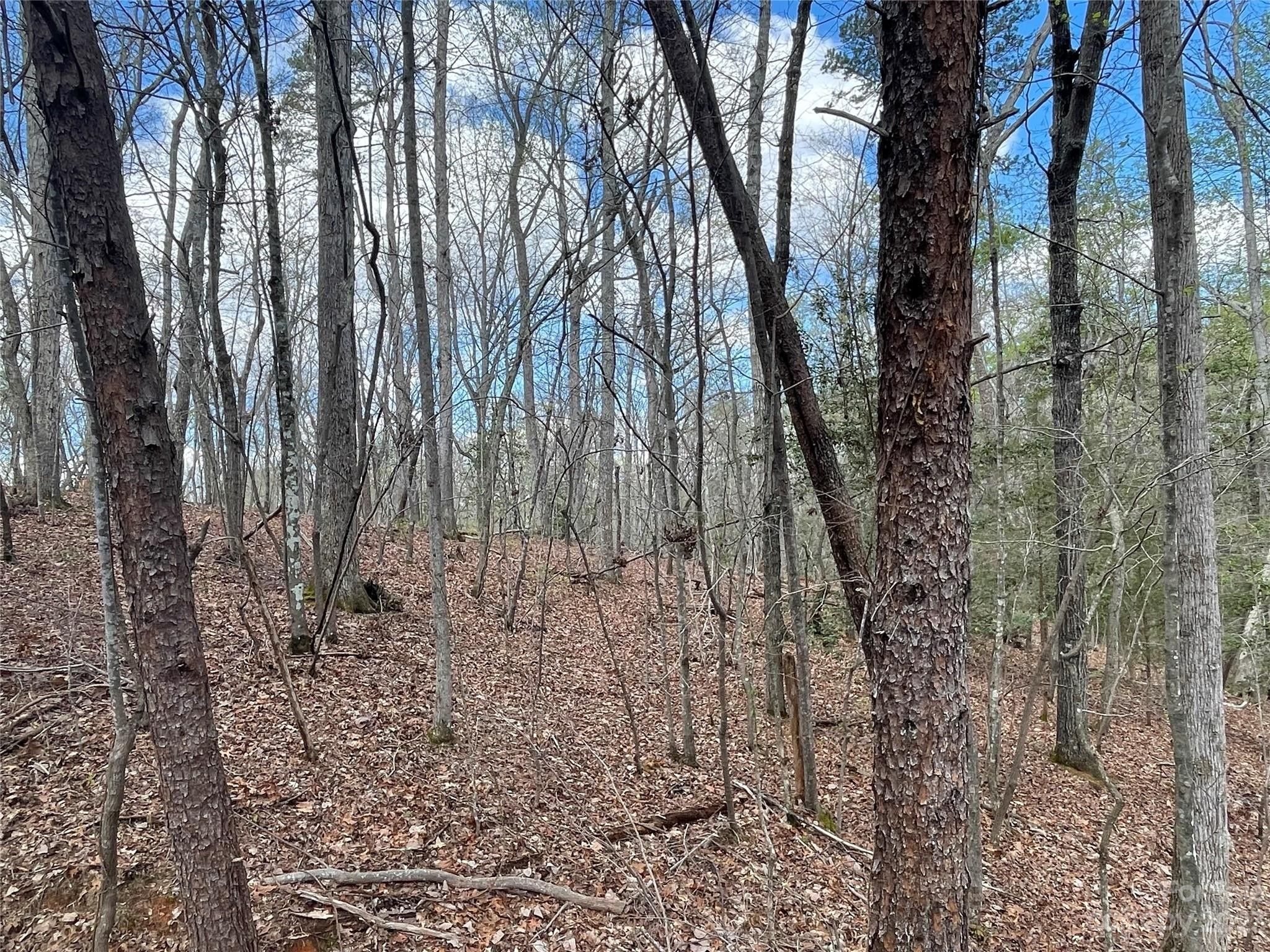 Troy, Montgomery County, NC Farms and Ranches, Homesites for sale Property ID 416276863 LandWatch