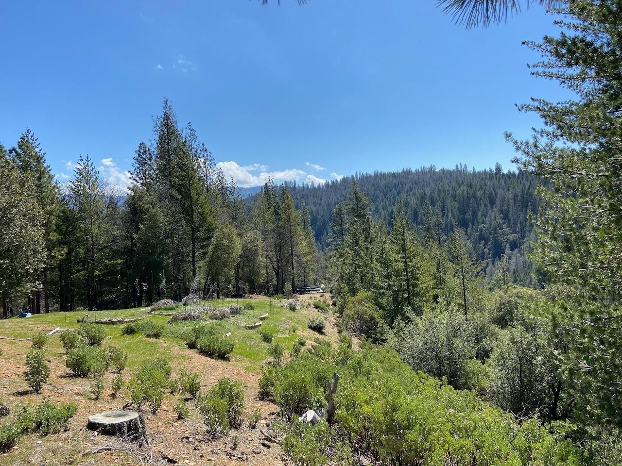 Wilseyville, Calaveras County, CA Farms and Ranches for sale Property
