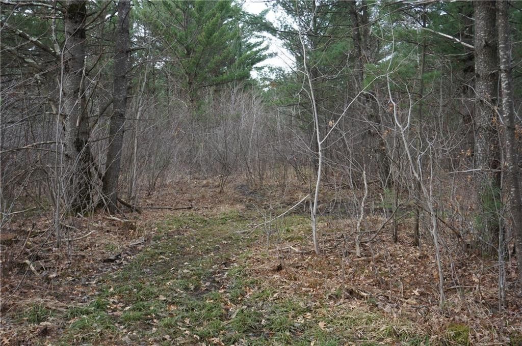Merrillan, Jackson County, WI Undeveloped Land, Lakefront Property