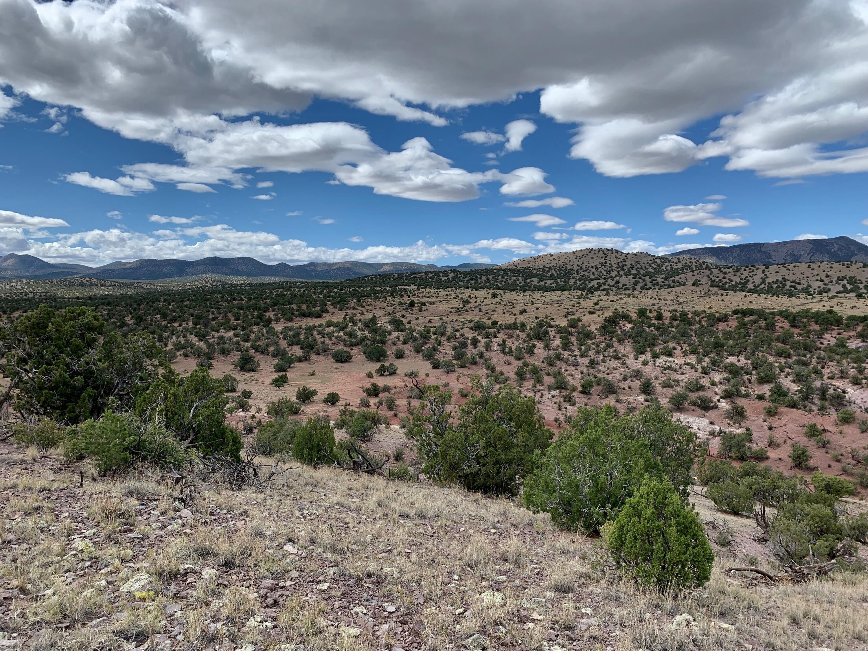 Magdalena, Socorro County, NM Undeveloped Land for sale Property ID