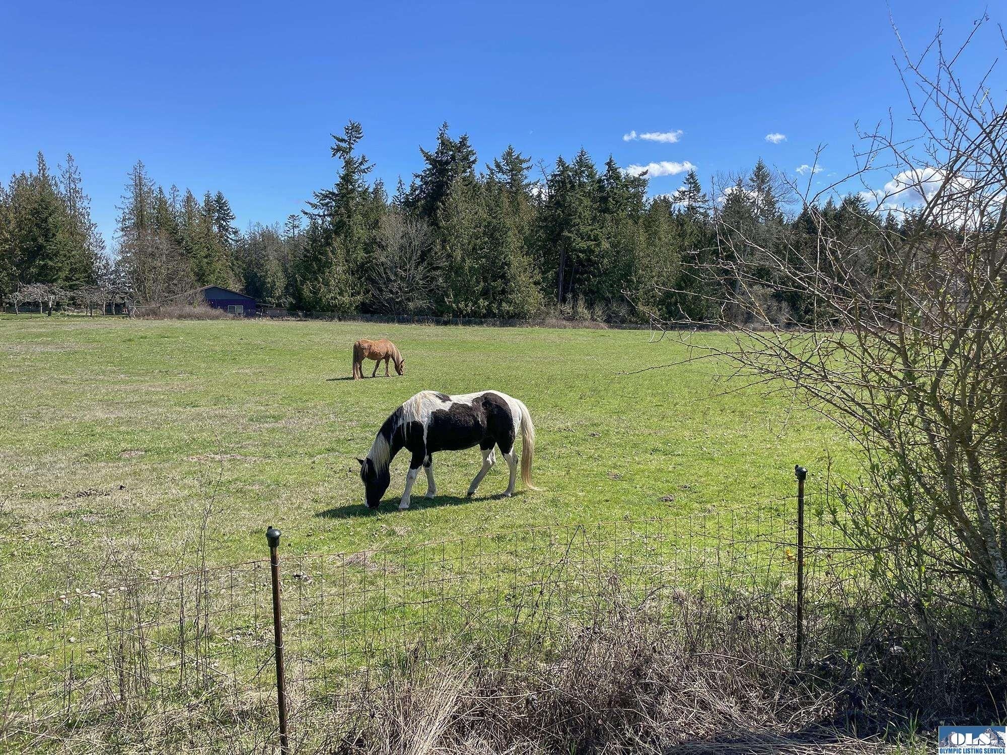 Sequim, Clallam County, WA Farms and Ranches, Homesites for sale