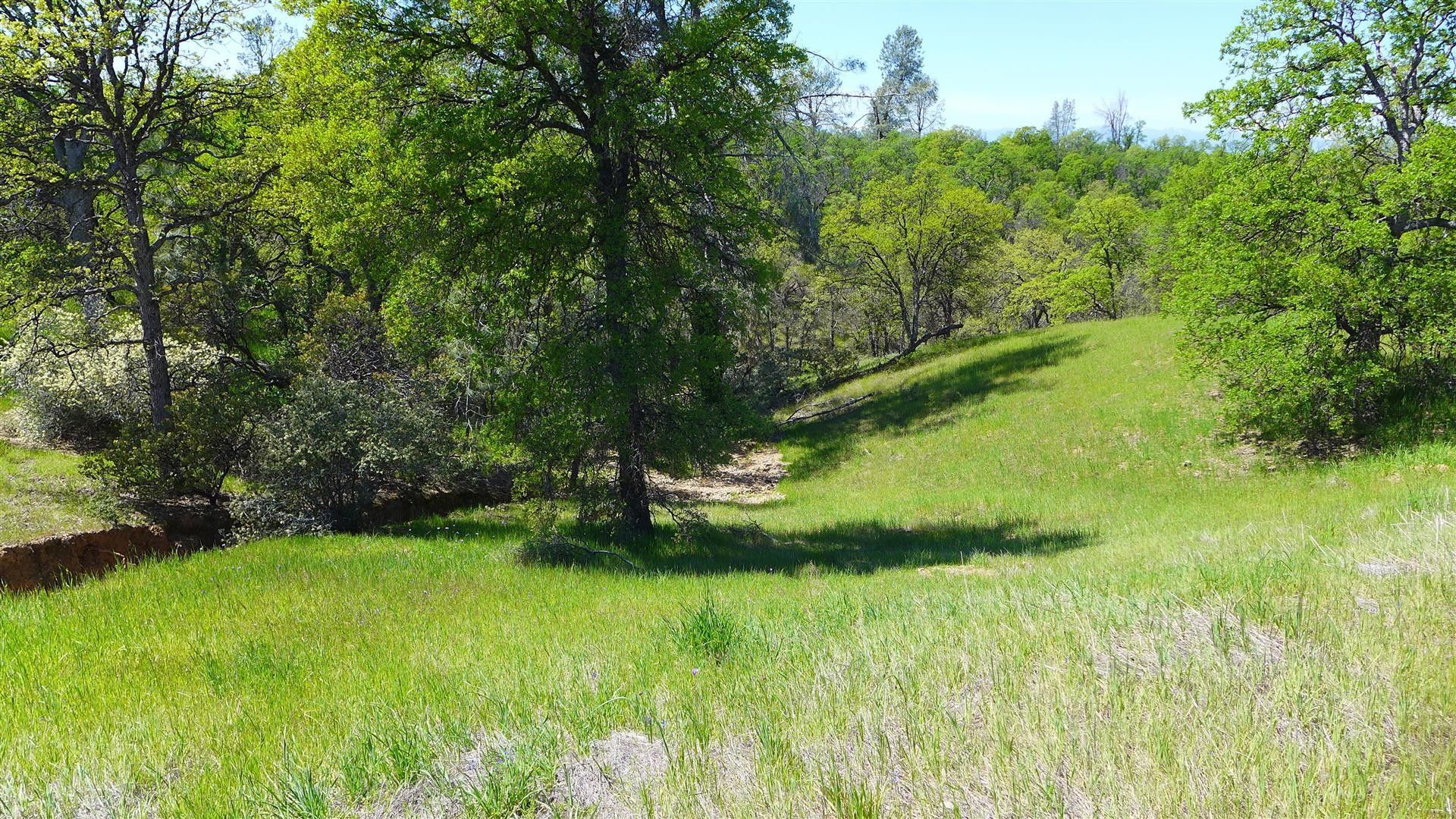 Cottonwood, Tehama County, CA Farms and Ranches, Lakefront Property