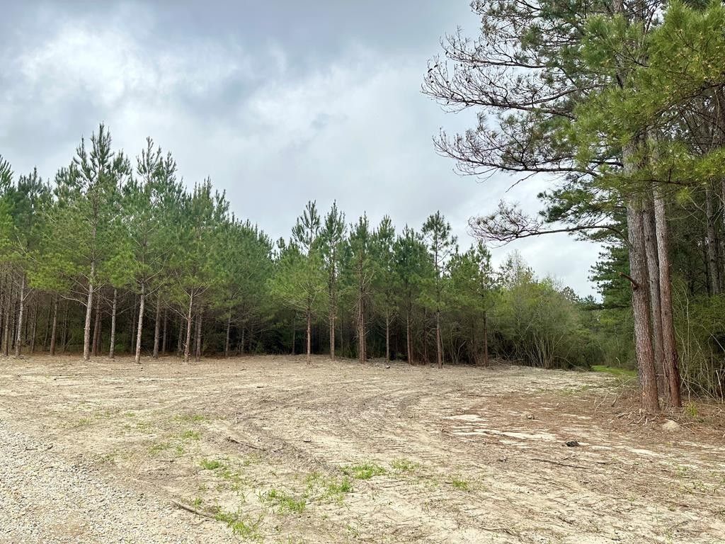 Poplarville, Pearl River County, MS Undeveloped Land for sale Property