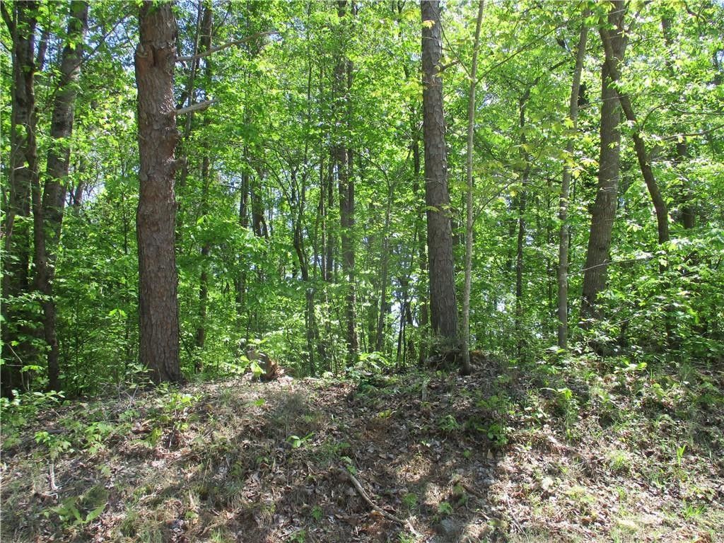 Westminster, Oconee County, SC Undeveloped Land, Homesites for sale