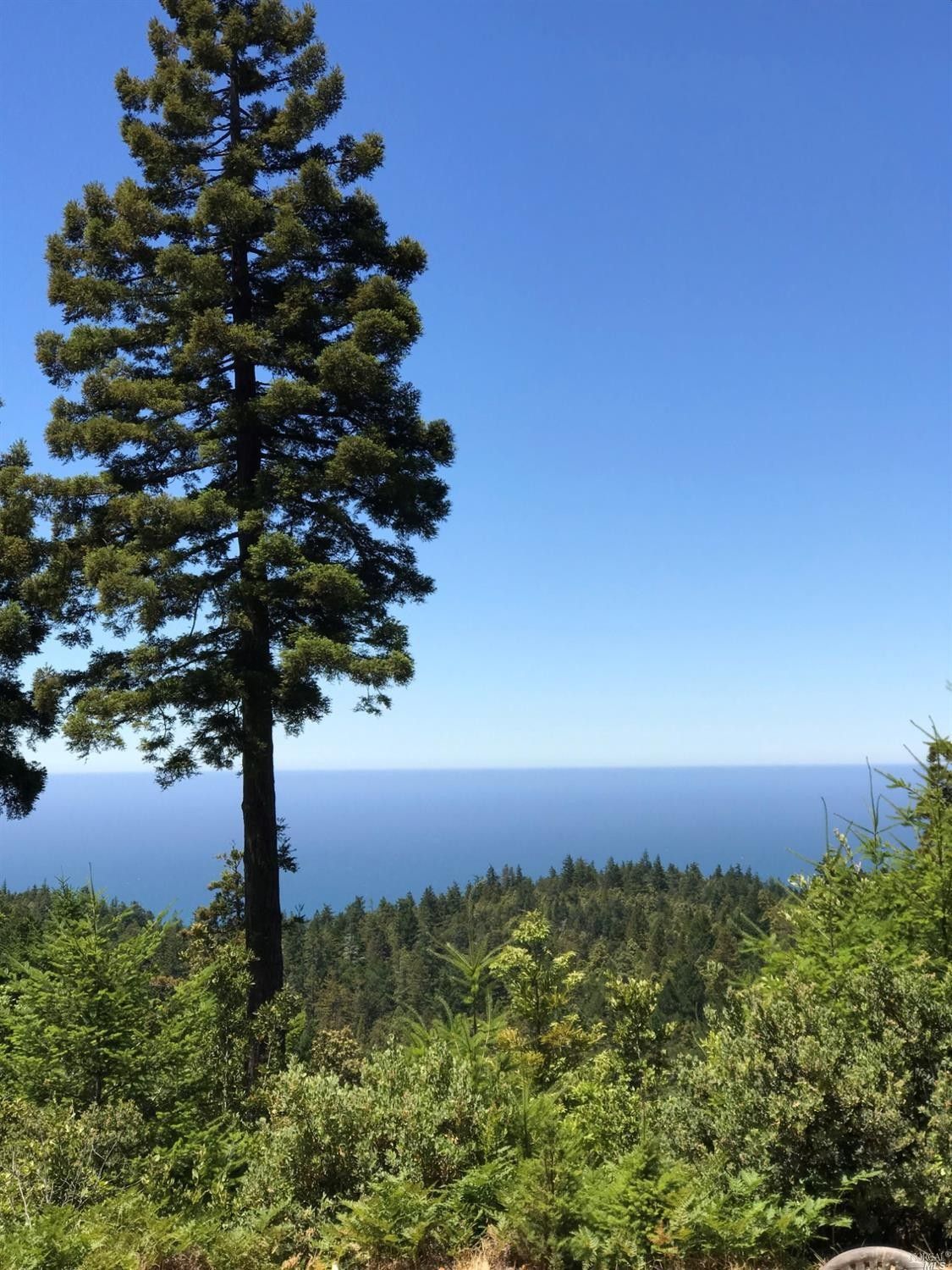 Gualala, Mendocino County, CA Farms and Ranches for sale Property ID