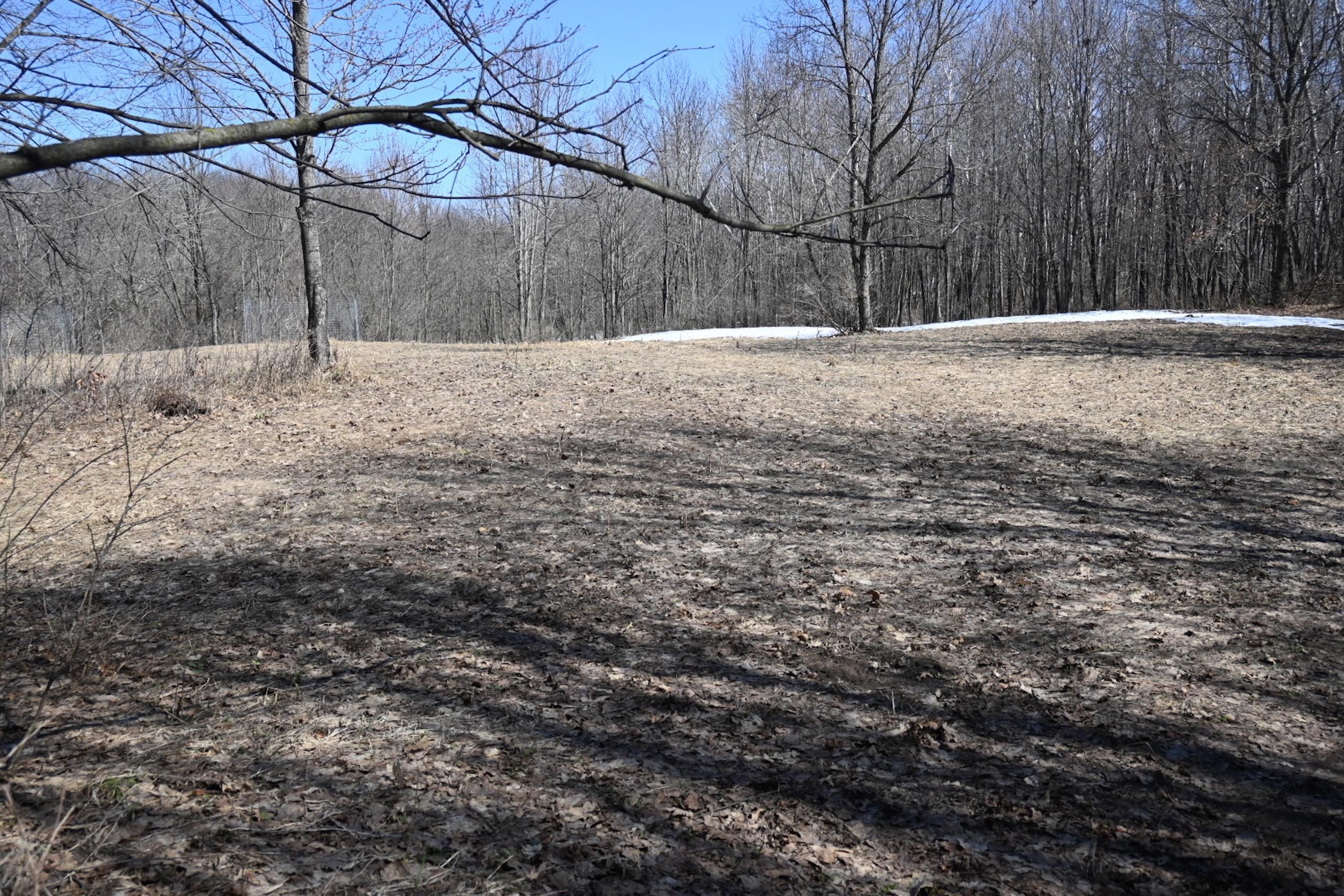 Luck, Polk County, WI Farms and Ranches, Hunting Property for sale