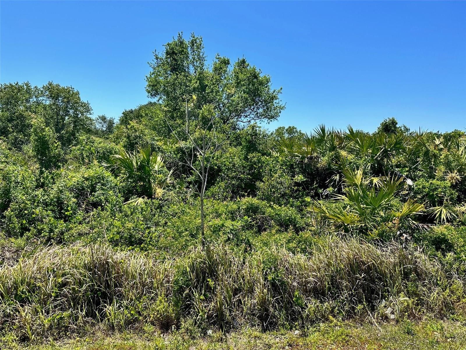 Arcadia, DeSoto County, FL Undeveloped Land, Homesites for sale