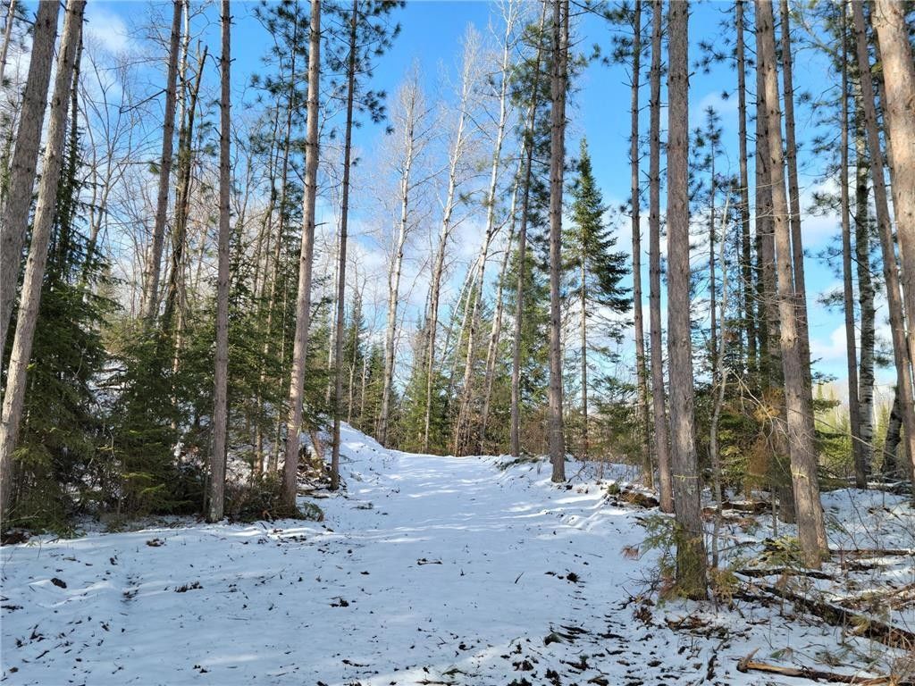 Bigfork, Itasca County, MN Farms and Ranches, Lakefront Property
