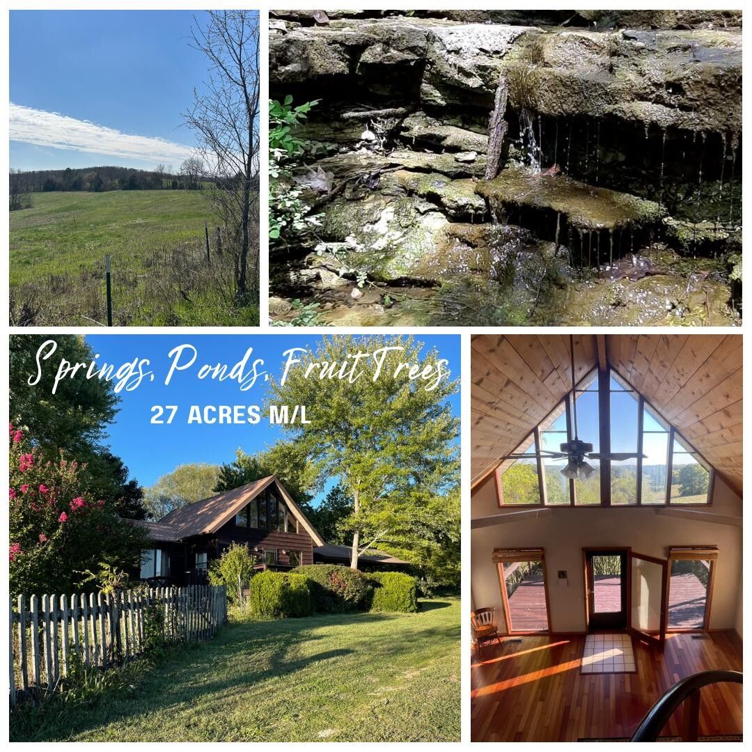 Vanzant, Douglas County, MO House for sale Property ID 416123308