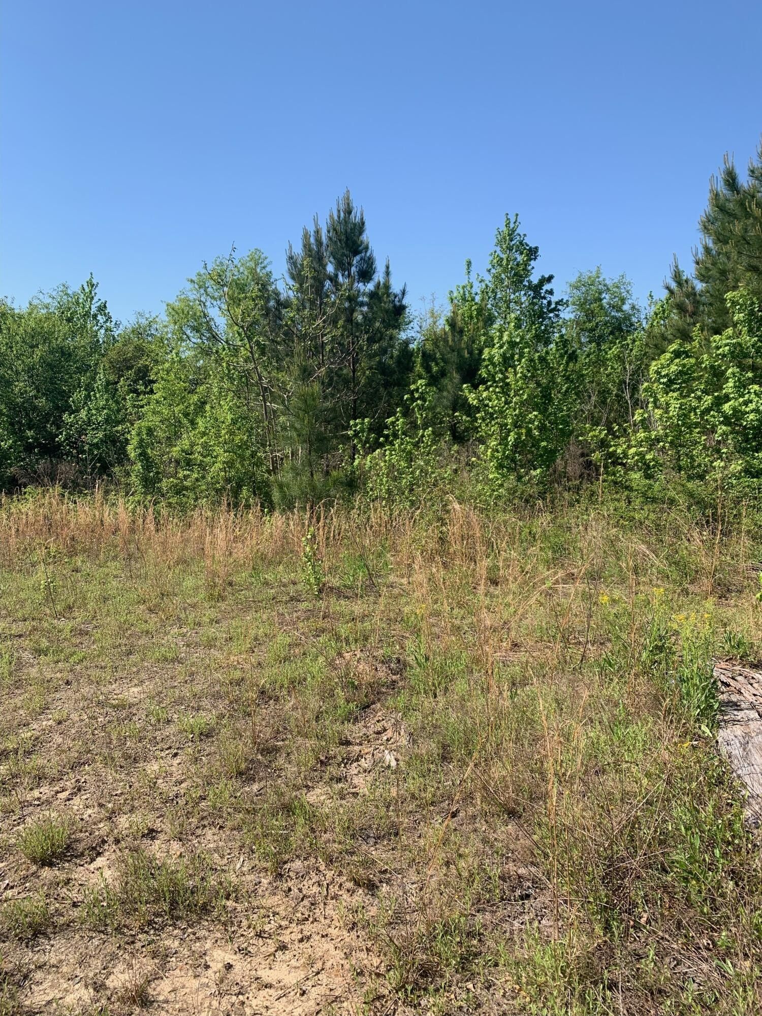 Gibson, Glascock County, GA Undeveloped Land for sale Property ID