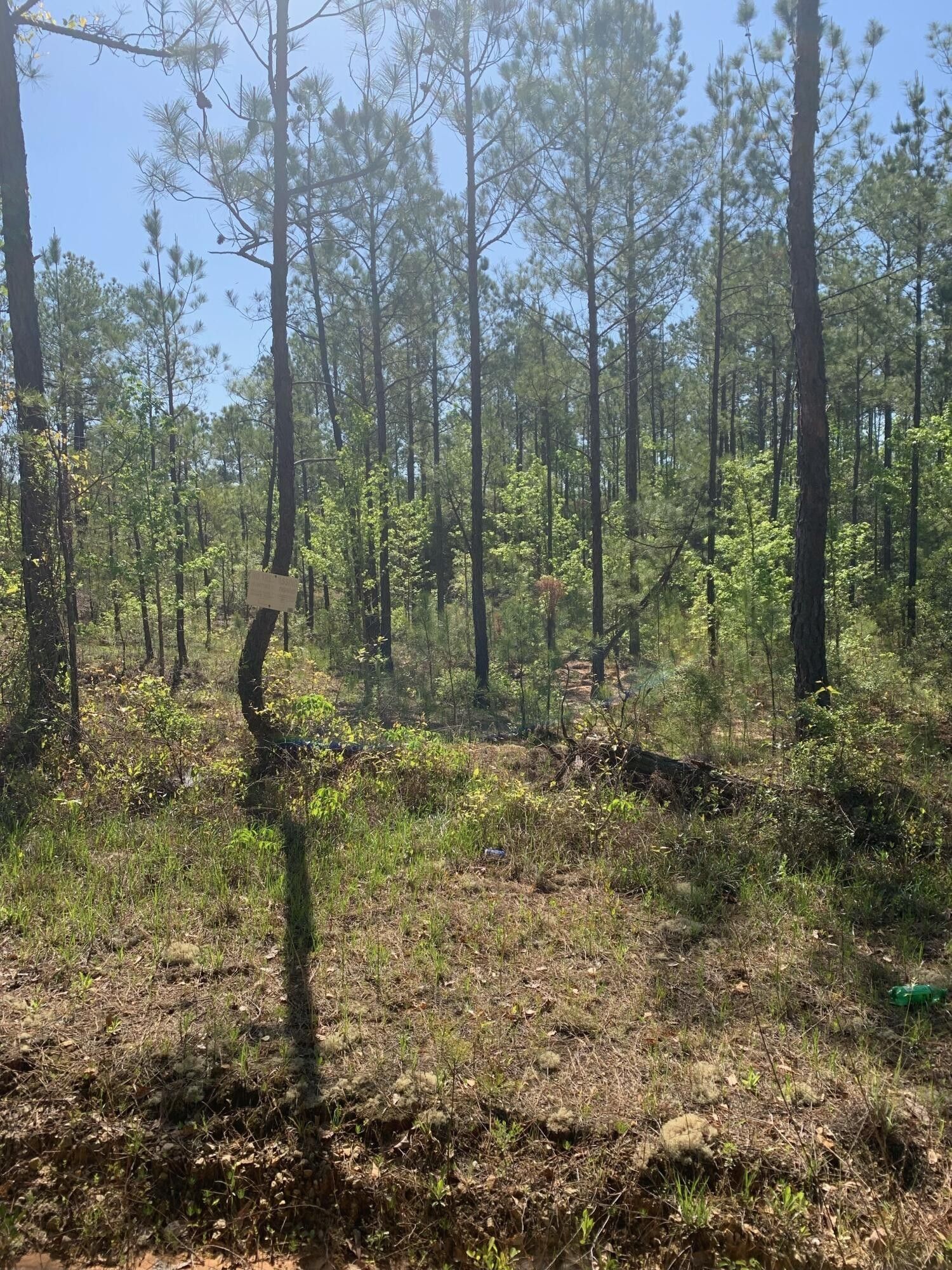 Gibson, Glascock County, GA Undeveloped Land for sale Property ID