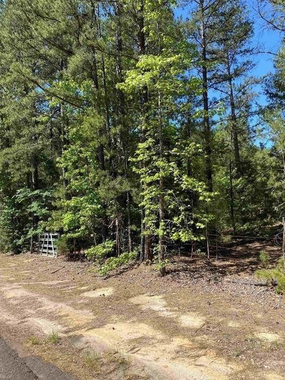 Mineola, Wood County, TX Undeveloped Land, Homesites for sale Property