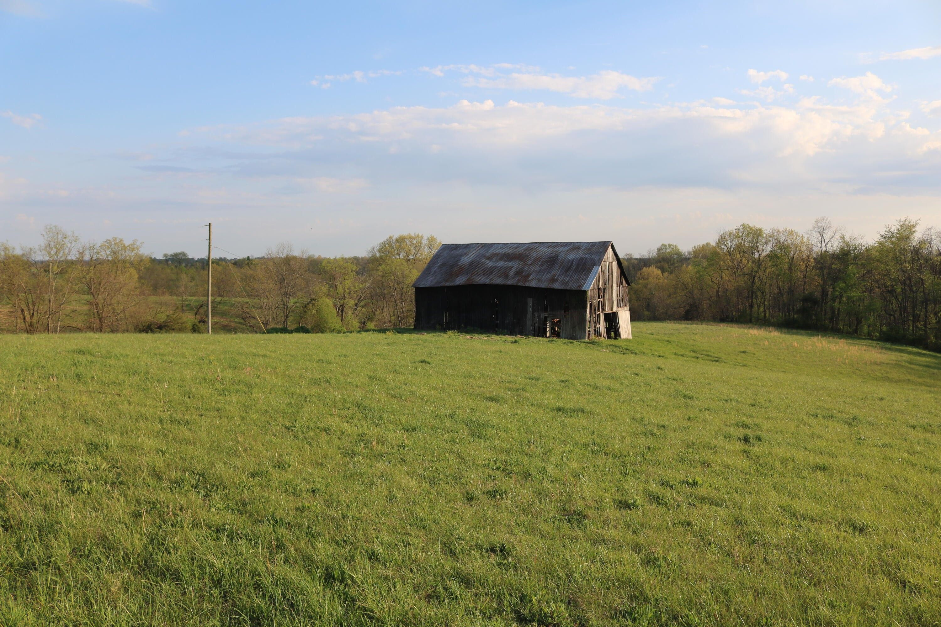 Carlisle, Nicholas County, KY Farms and Ranches, House for sale