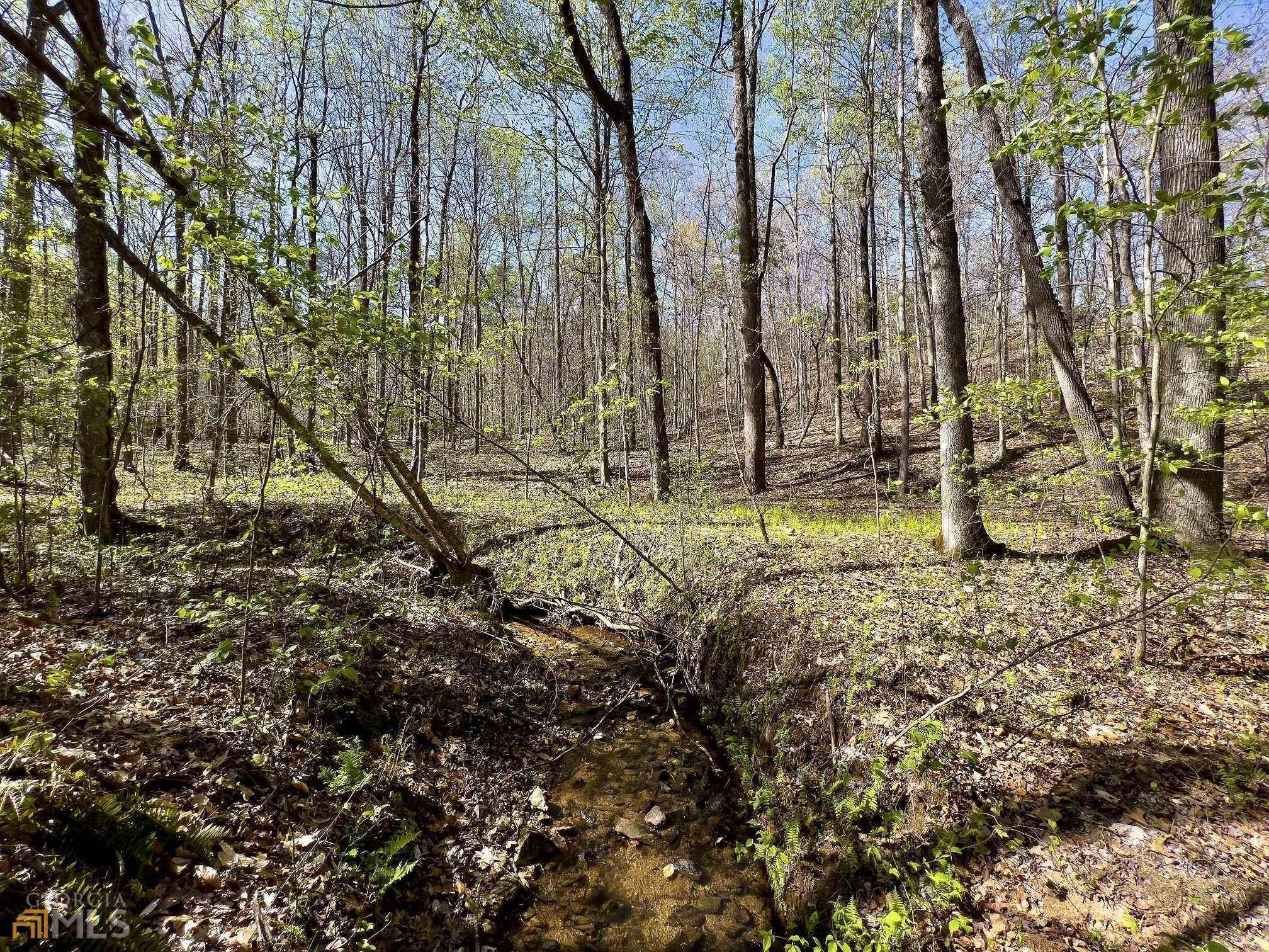 Baldwin, Banks County, GA Farms and Ranches, Homesites for sale