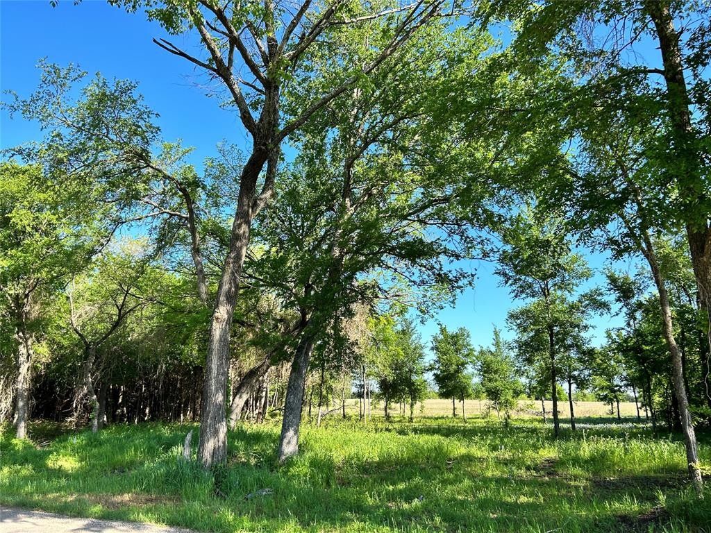 Waxahachie, Ellis County, TX Undeveloped Land, Homesites for sale