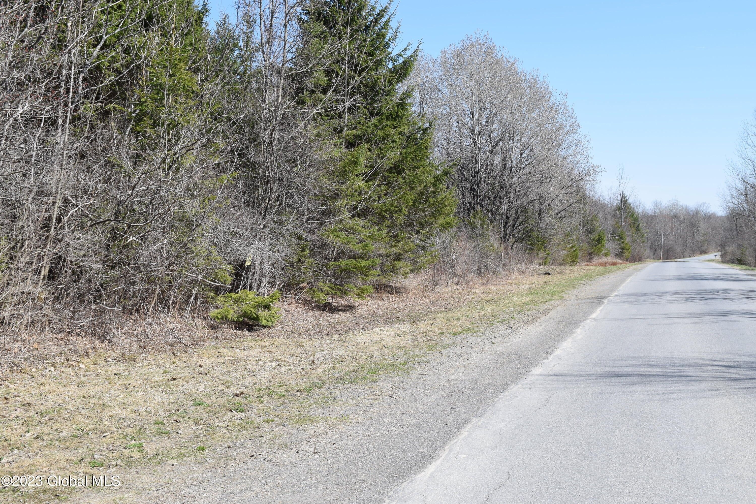 Charleston, Montgomery County, NY Undeveloped Land for sale Property ID