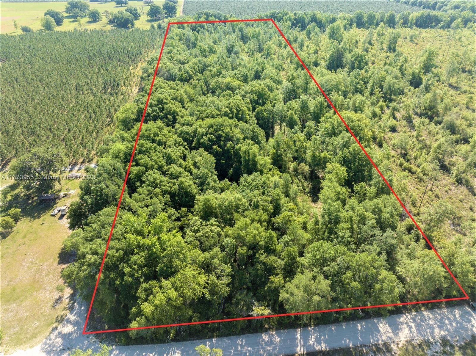 Dowling Park, Suwannee County, FL Undeveloped Land for sale Property ID