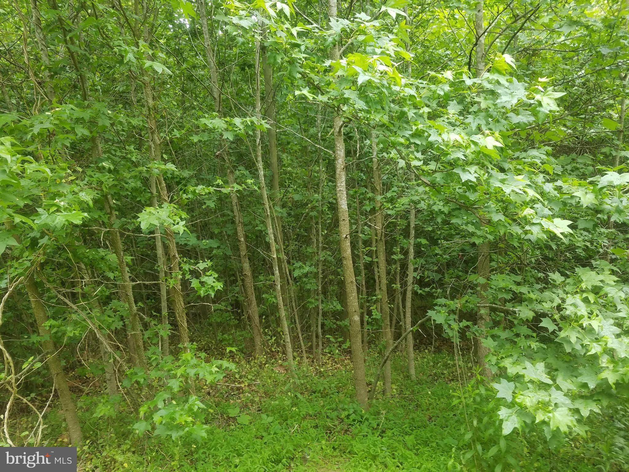 4875 DAYTON PLACE, Indian Head, MD 20640 MLS MDCH2021532 LandWatch