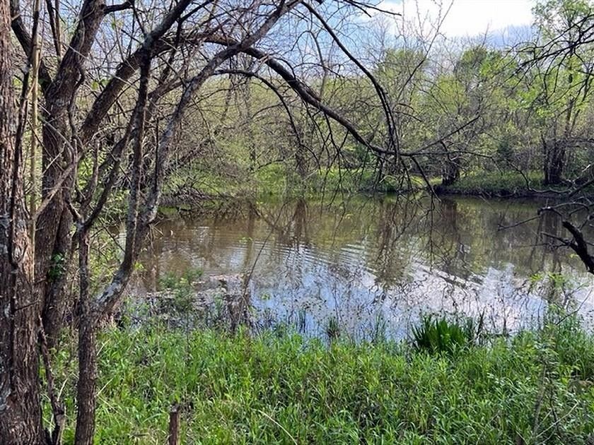 Lake Creek, Delta County, TX Undeveloped Land for sale Property ID