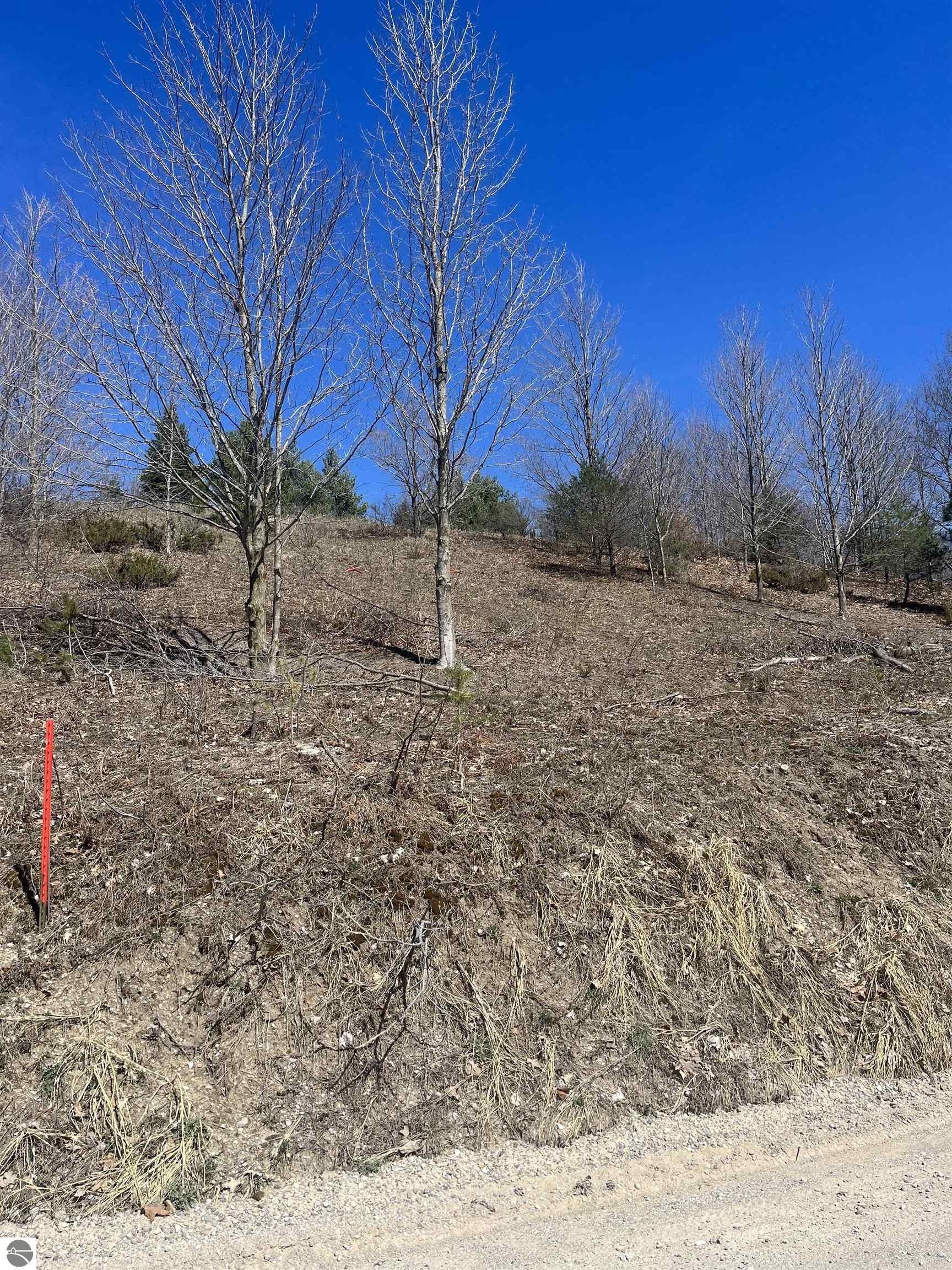 Honor, Benzie County, MI Undeveloped Land, Lakefront Property