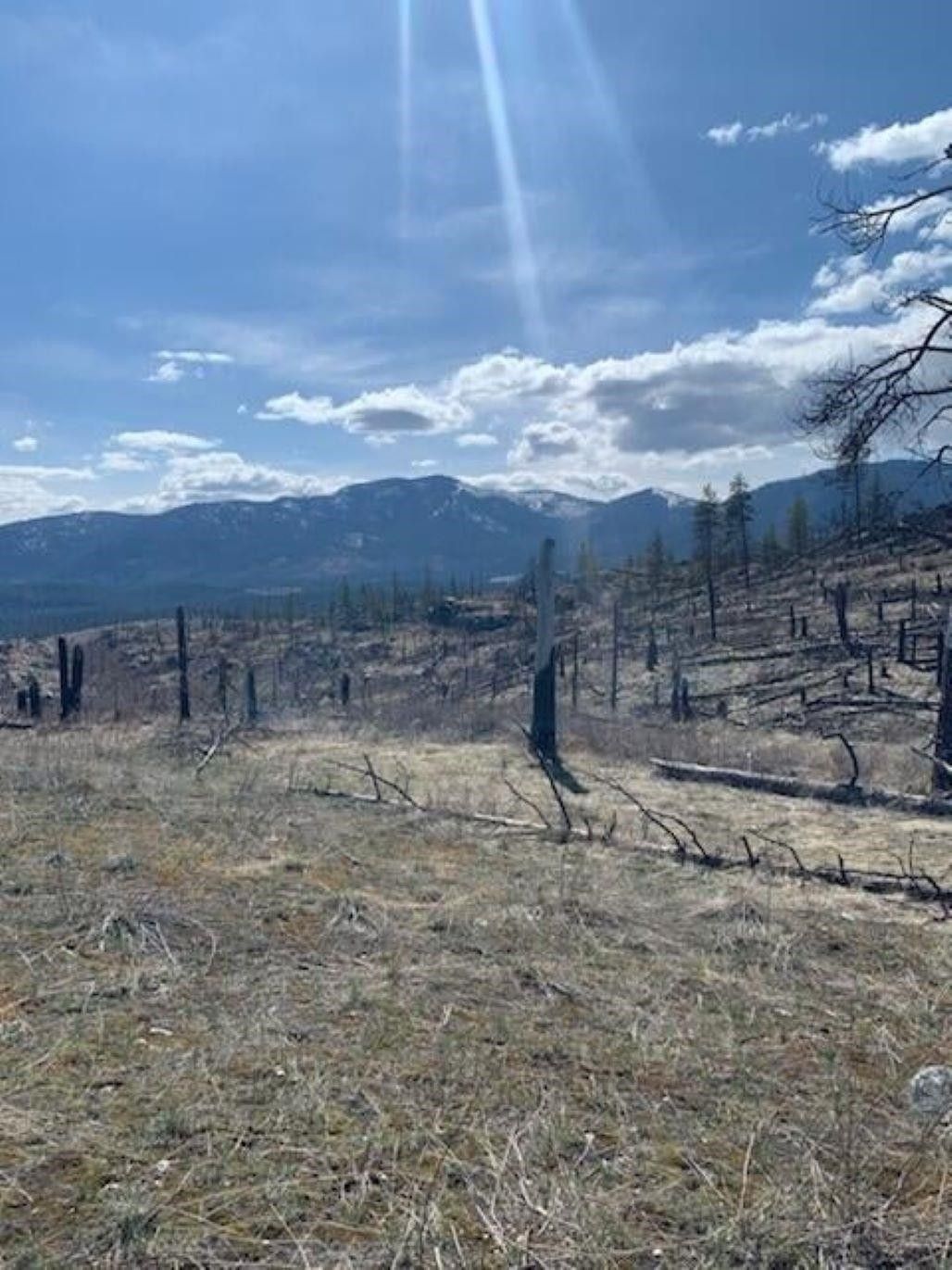 Colville, Stevens County, WA Farms and Ranches for sale Property ID