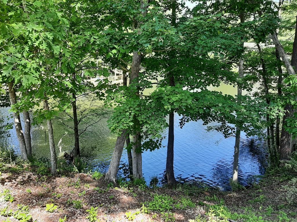 Santee, Clarendon County, SC Farms and Ranches, Homesites for sale Property ID 416305304