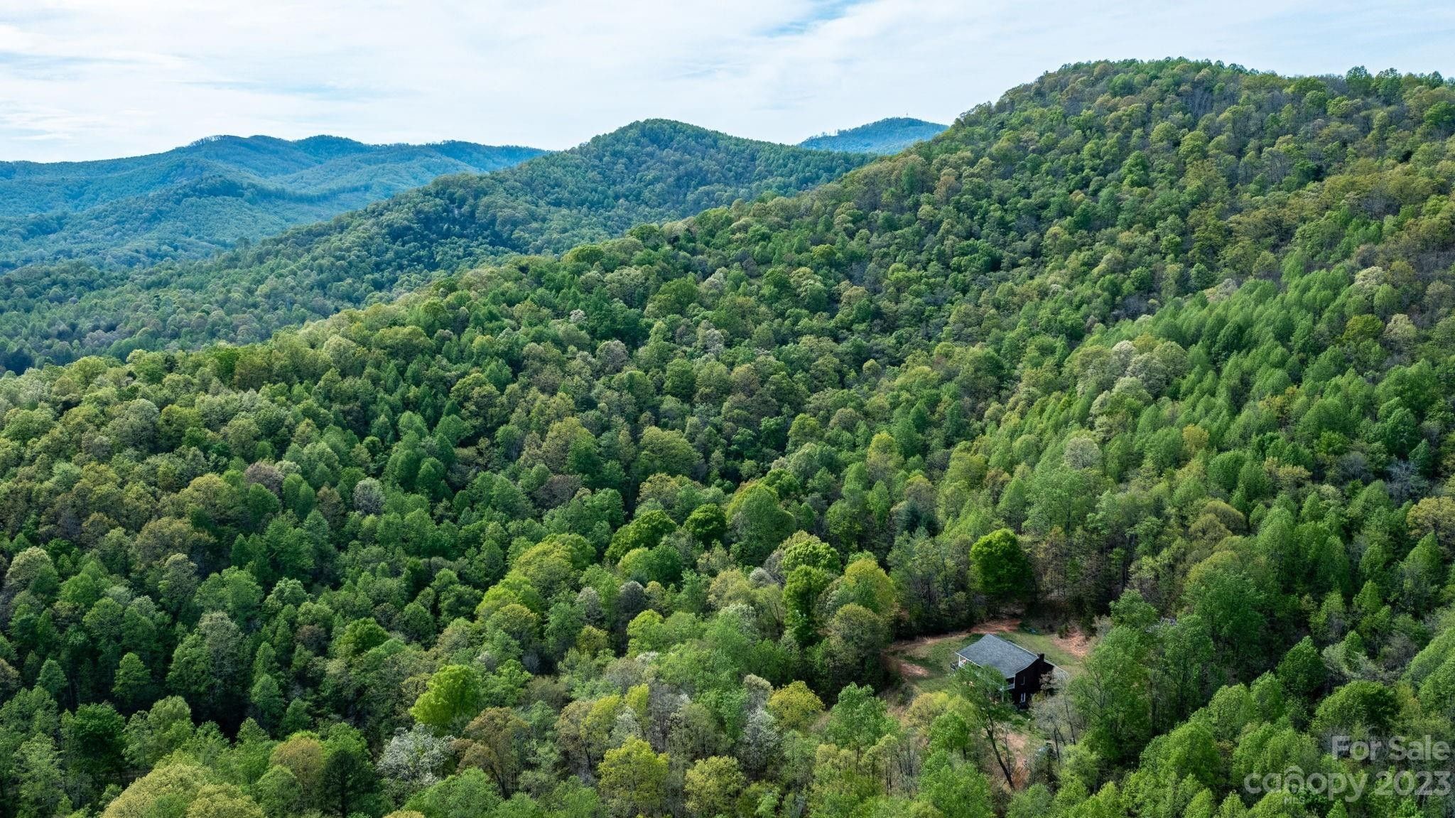 Moravian Falls, Alexander County, NC House for sale Property ID 413364966 LandWatch