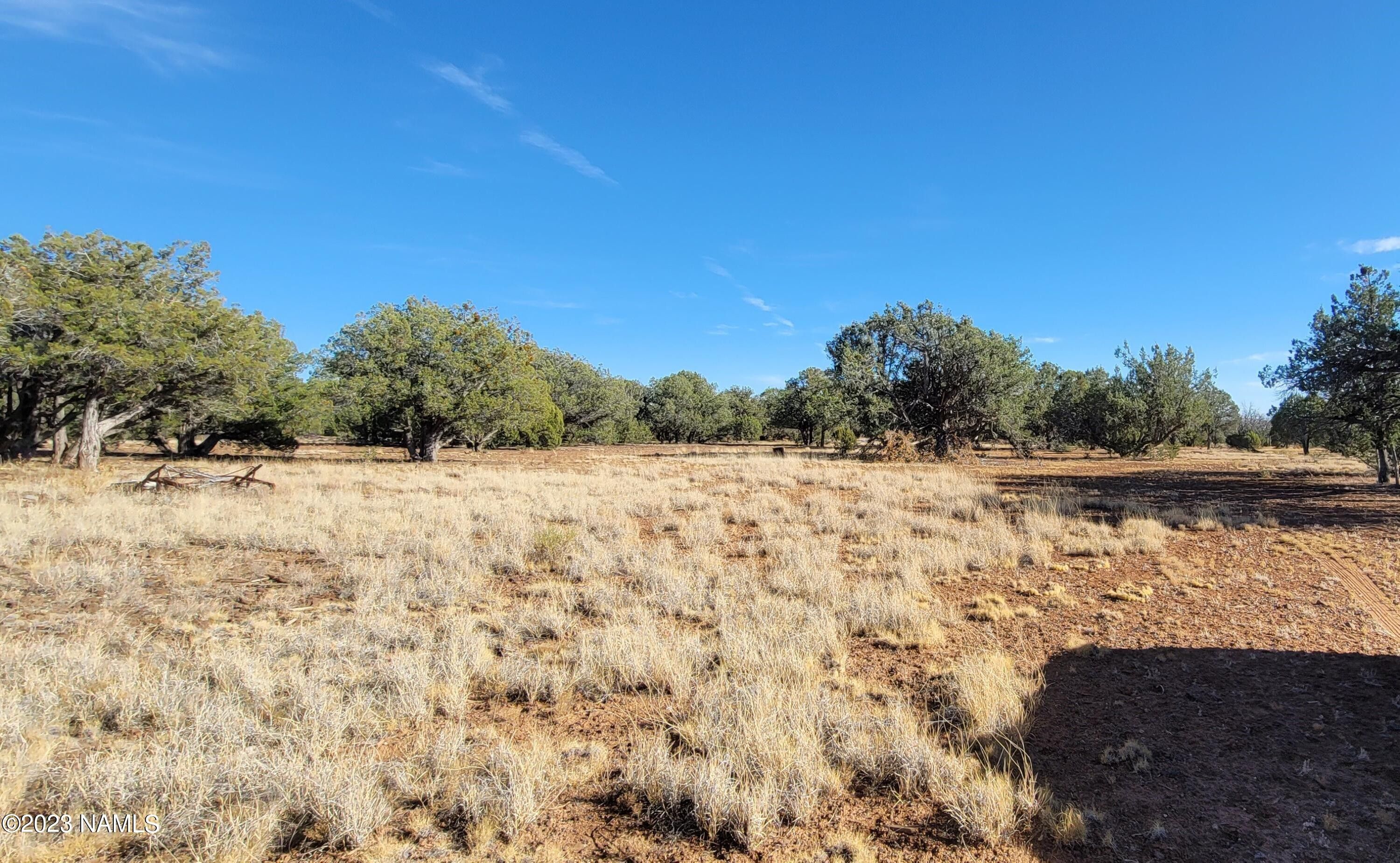 Williams, Coconino County, AZ Undeveloped Land for sale Property ID