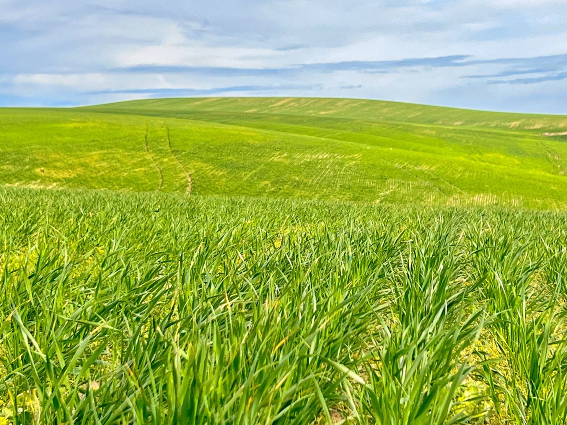 Whitmore Road, Pendleton, OR 97801 MLS 11169977 LandWatch