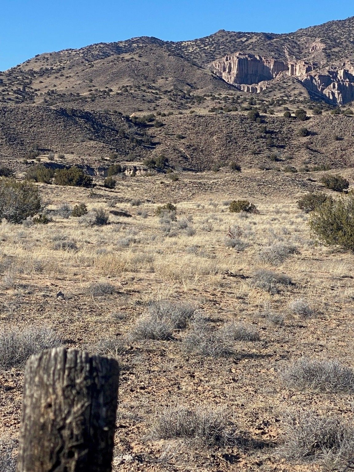 Abiquiu, Rio Arriba County, NM Farms and Ranches for sale Property ID